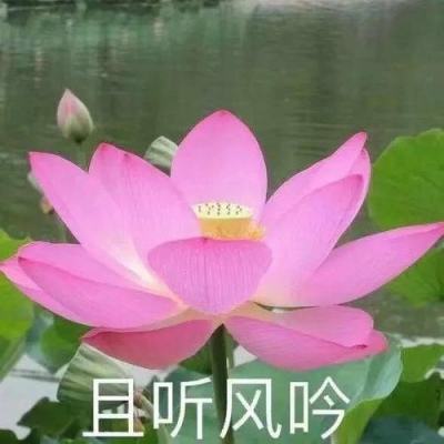 创造与融合手游官方版下载