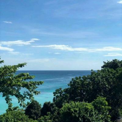华为晴天小狗2下载