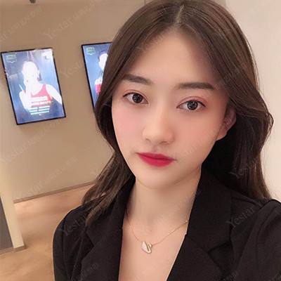 黎明信条无限钻石版下载